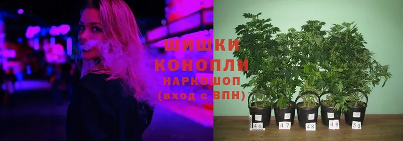 MEGA онион  Бирюч  Конопля White Widow  где продают наркотики 